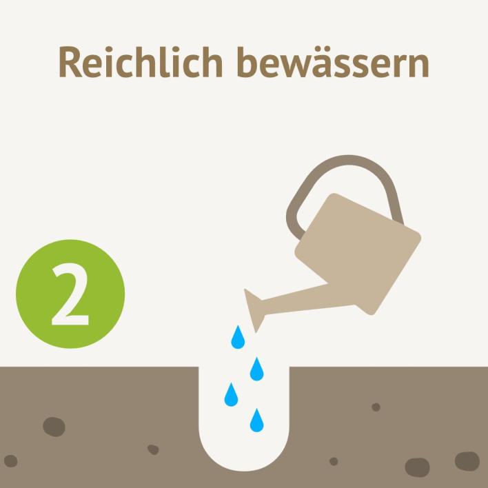 Reichlich bewässern