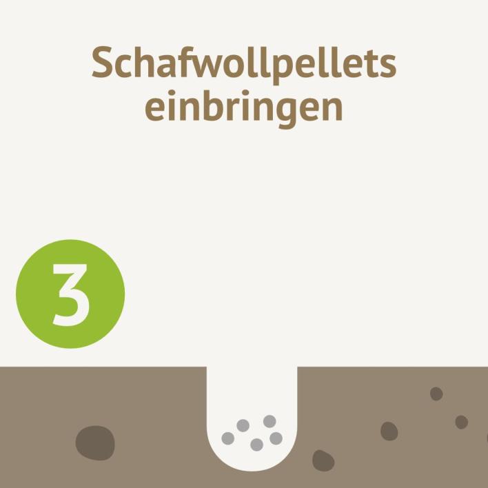 Schafwollpellets einbringen
