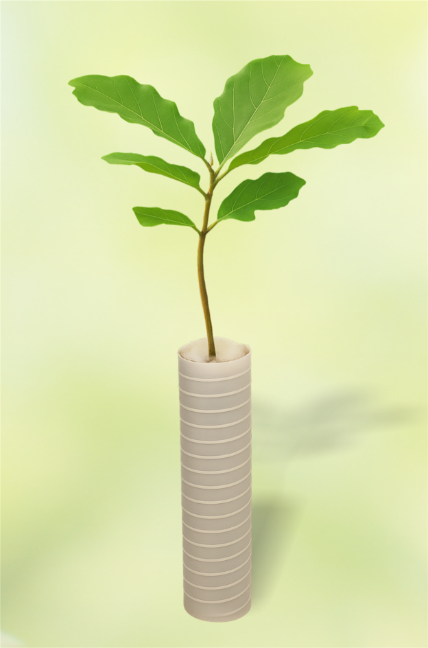 Eibudo Produktbild